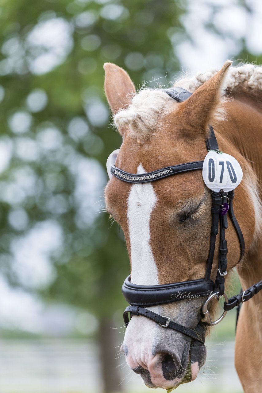 Bild 61 - Pony Akademie Turnier